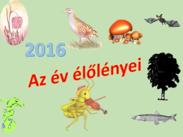 A 2016-os év élőlényei