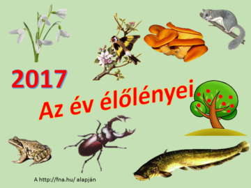 A 2017-es év élőlényei